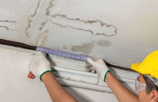 Reliable Flood Cleanup contractor in Lincoln, MO by Water Damage Irwin